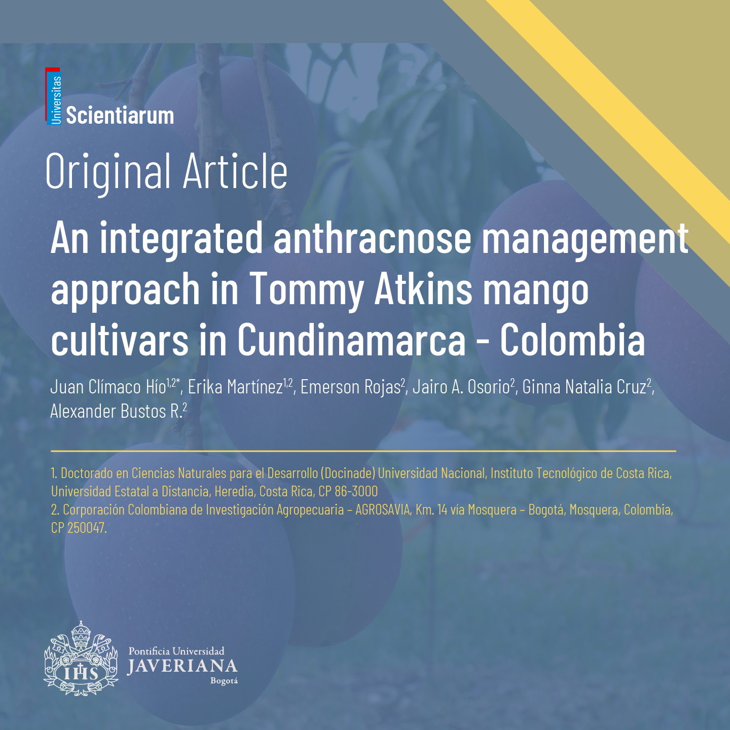 An integrated anthracnose management approach in Tommy Atkins mango cultivars in Cundinamarca - Colombia doi: 10.11144/Javeriana.SC293.aiam